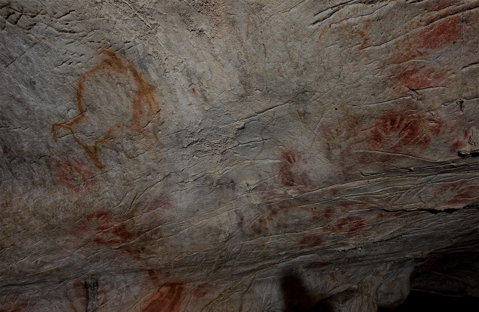 Estamos donde nos necesitas